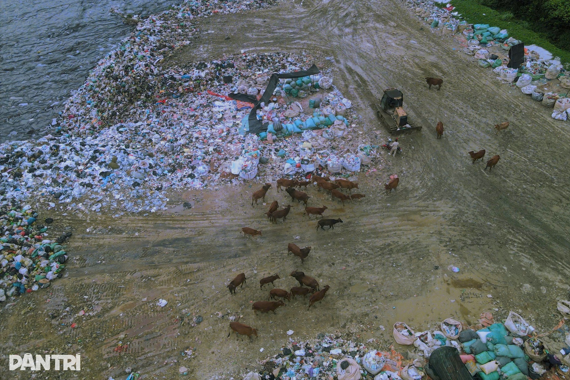 Bên trong bãi rác chứa hàng triệu tấn gây ô nhiễm bậc nhất Ninh Bình - 6