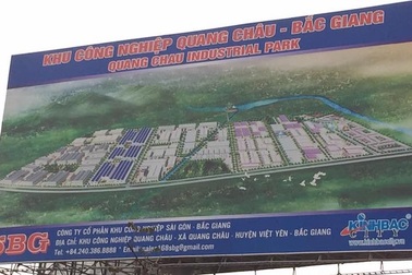 Bắc Giang: Cây lúa biến dạng cạnh khu công nghiệp, nguyên nhân bí ẩn gì?