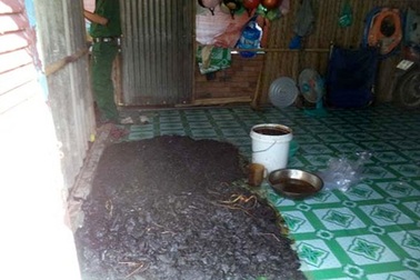 Hãi hùng với công nghệ làm khô bò đen từ... phổi heo