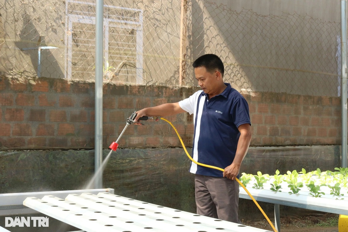 Bỏ việc, kỹ sư về vườn trồng rau thủy canh, kiếm hàng trăm triệu đồng - 6 Bỏ việc, kỹ sư về vườn trồng rau thủy canh, kiếm hàng trăm triệu đồng - 6