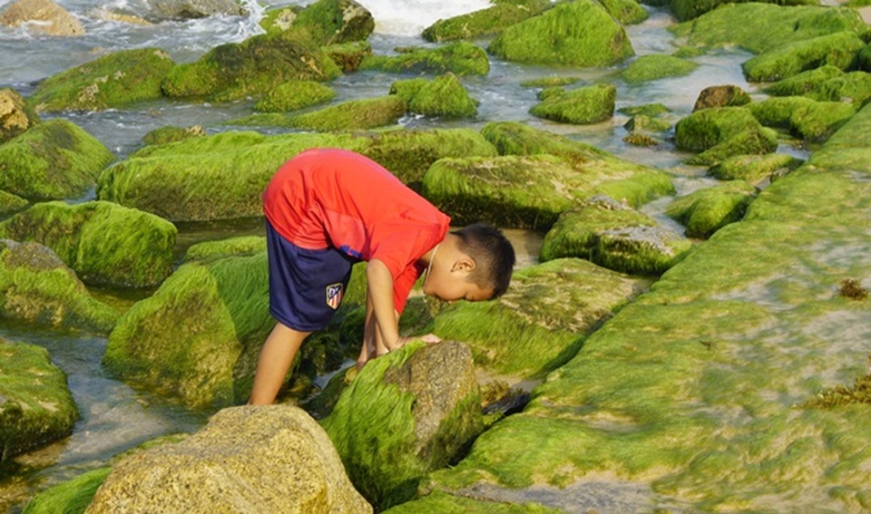 Làng chài đẹp như tranh vẽ làm du khách mê mẩn ở Bình Định - 10 Làng chài đẹp như tranh vẽ làm du khách mê mẩn ở Bình Định - 10