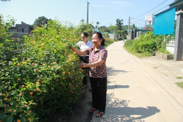 Hòa Bình: Đời sống người dân đổi thay nhờ xây dựng nông thôn mới