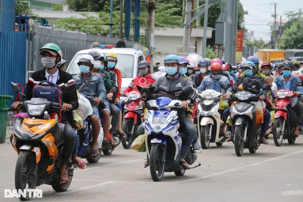 Công dân An Giang hồi hương, âm tính virus SARS-CoV-2 được về nhà cách ly - 1 Công dân An Giang hồi hương, âm tính virus SARS-CoV-2 được về nhà cách ly - 1
