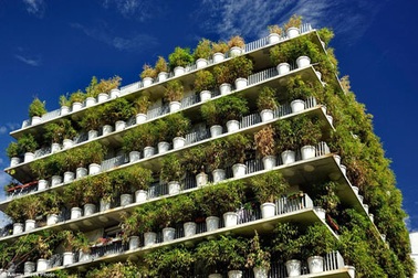 Chung cư xanh mướt màu tre, trúc gây sốt giữa lòng Paris