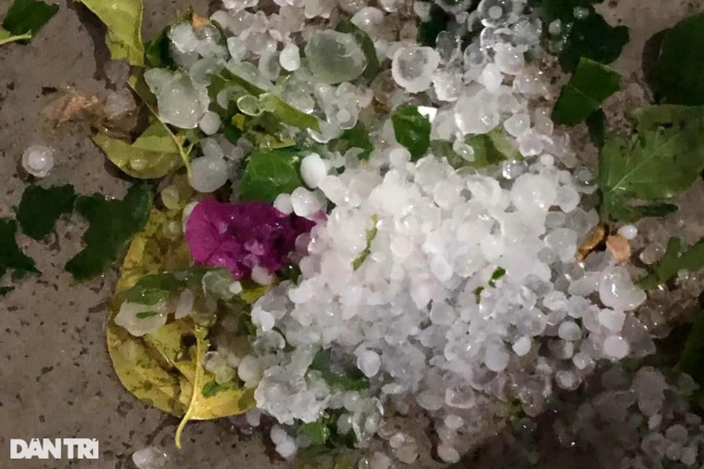 Mưa đá xuất hiện ở Điện Biên, quật gẫy cây, gây ngập úng - 7 Mưa đá xuất hiện ở Điện Biên, quật gẫy cây, gây ngập úng - 7