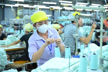 Hơn 20.000 lao động Nghệ An đi làm việc ở nước ngoài