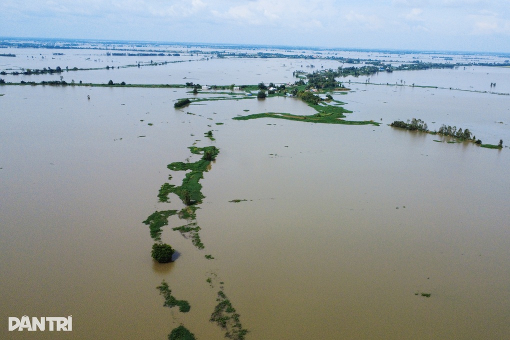 Nhiều diện tích lúa, cây ăn trái ở Tây Ninh hư hại nặng sau mưa lũ - 2