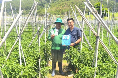 PQZ 20WG - Giải pháp kiểm soát bọ phấn trắng, rệp đào, bảo vệ cây trồng