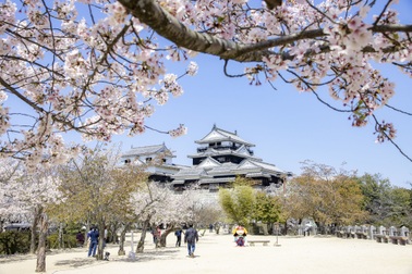 Thành cổ phải ghé thăm trong chuyến hành trình Nhật Bản