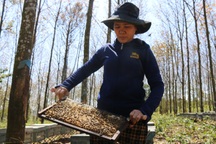 Nhọc nhằn nghề "phiêu bạt theo những mùa hoa"