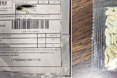 Nhật Bản cảnh báo các hạt giống bí ẩn nghi từ Trung Quốc có thể chứa virus