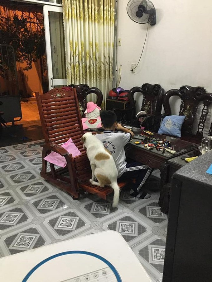 Thấy Sen khóc ấm ức, Boss xuất hiện bày trò để an ủi, ai nhìn vào cũng thấy dễ thương - Ảnh 1. Thấy Sen khóc ấm ức, Boss xuất hiện bày trò để an ủi, ai nhìn vào cũng thấy dễ thương - Ảnh 1.