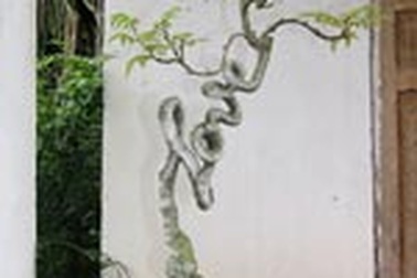 Người nuôi cá đĩa “chấn động thế giới” và cây khế “tình yêu”