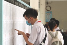 Cấu trúc đề thi ngữ văn vào lớp 10 tại TPHCM năm học 2024-2025 thế nào?