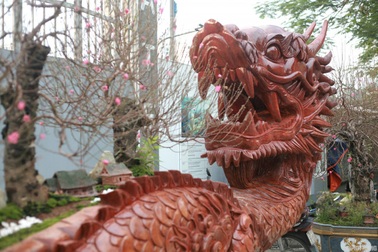 Ngắm chậu đào khủng "Long quyện ngũ hành sơn" giá bạc tỷ trên phố Hà Nội