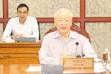 Bộ Chính trị, Ban Bí thư thành lập 10 đoàn đi kiểm tra 30 tổ chức đảng