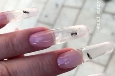 Nhốt kiến sống trong móng tay để làm đẹp