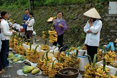 Về quê Chí Phèo ăn “Chuối tiến Vua”