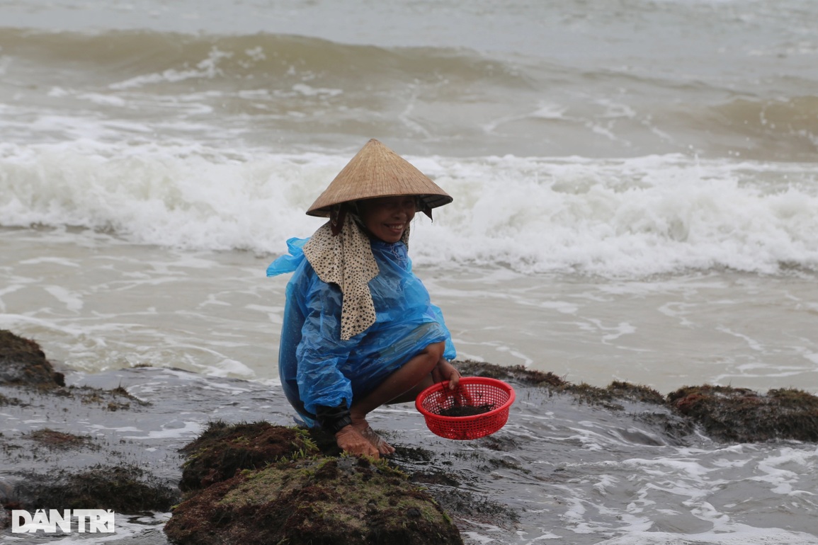 Nghề rình sóng biển, nhăm nhe hái tiền - 1 Nghề rình sóng biển, nhăm nhe hái tiền - 1