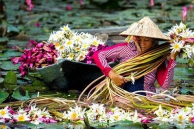 Những trải nghiệm không thể bỏ lỡ khi ghé miền Tây vào mùa nước nổi