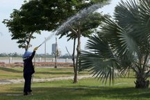 Phú Yên cung cấp tài liệu dự án cây xanh cho Bộ Công an