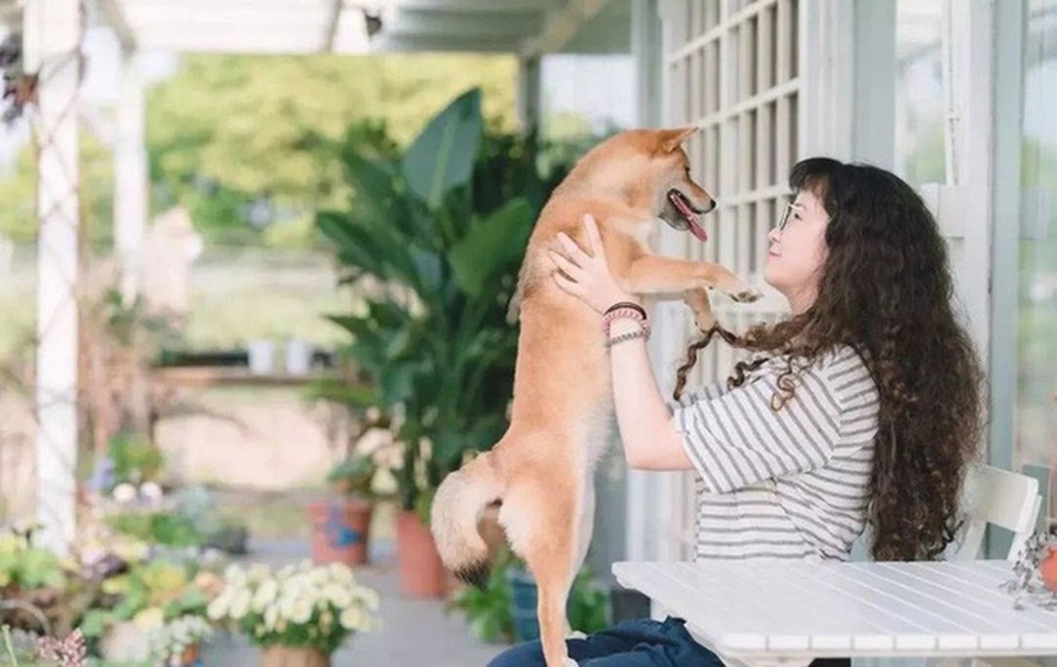 Cô gái dành hết tiền tiết kiệm về quê làm nhà vườn đẹp như cổ tích - 1 Cô gái dành hết tiền tiết kiệm về quê làm nhà vườn đẹp như cổ tích - 1