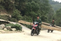 Đình chỉ 2 cán bộ kiểm lâm để Vườn quốc gia Hoàng Liên bị chặt phá