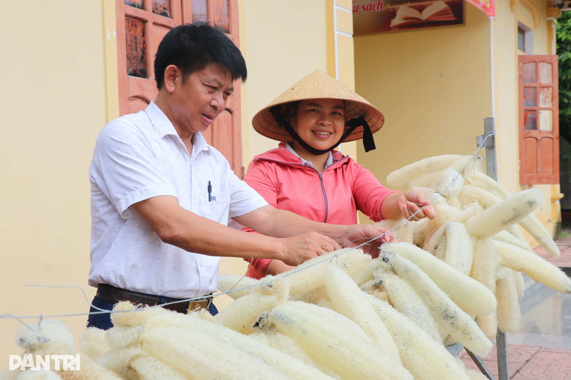 View - Trồng mướp, "treo" quả thật già, nông dân được đặt mua cả vườn | Báo Dân trí