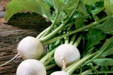 Củ cải trắng tốt cho dạ dày, đường ruột