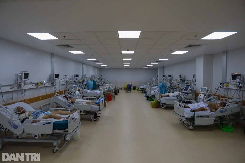 Sở Y tế TPHCM chỉ cách sửa sai giấy báo tử của người mất vì Covid-19 - 1 Sở Y tế TPHCM chỉ cách sửa sai giấy báo tử của người mất vì Covid-19 - 1
