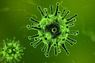 Các loại virus cổ xưa bí ẩn được tìm thấy ở sông băng Tây Tạng 15.000 năm tuổi