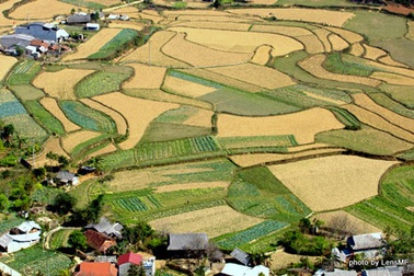 “Tranh lập thể” trên cánh đồng Quản Bạ 