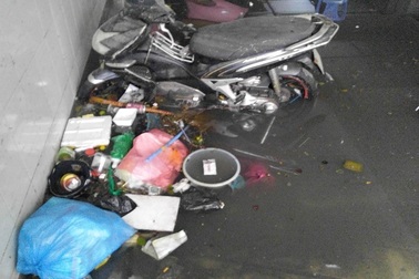 Tầng hầm nhiều tòa nhà biến thành... hồ nước thối