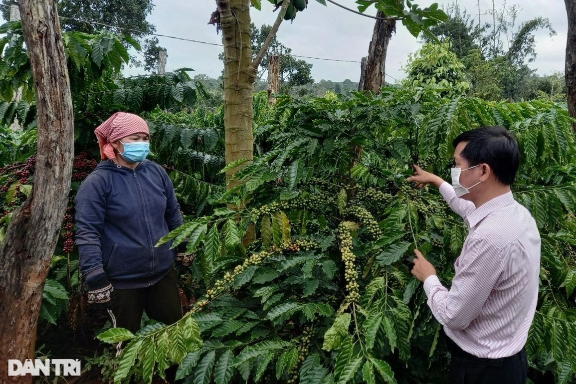 Lao động hồi hương để tránh dịch được nhận phao cứu sinh - 1 Lao động hồi hương để tránh dịch được nhận phao cứu sinh - 1
