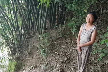 Người dân lo lắng với trình trạng sạt lở bờ sông Thu Bồn