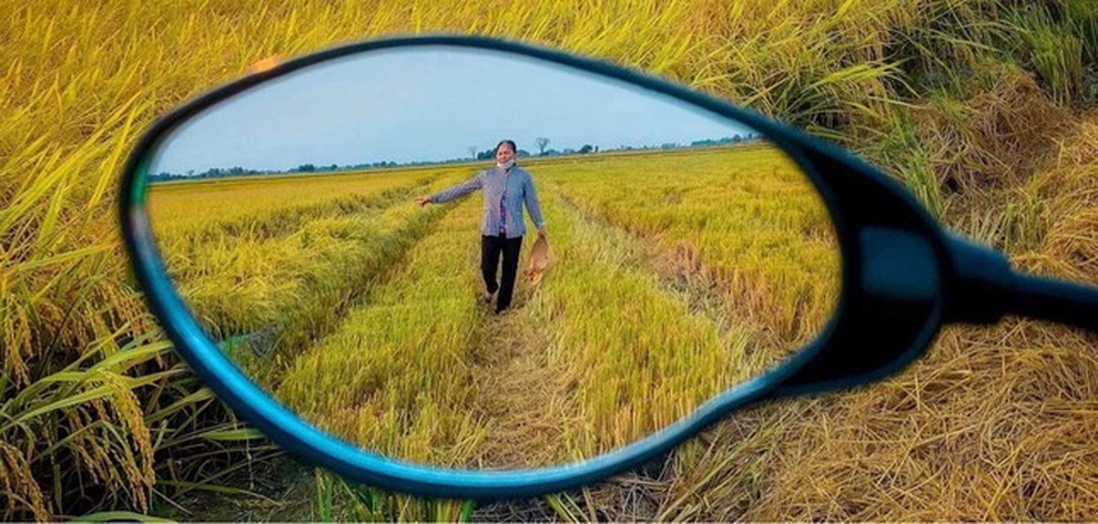 Về quê tránh dịch, chàng trai thu nhỏ cảnh mùa gặt vào gương chiếu hậu - 6 Về quê tránh dịch, chàng trai thu nhỏ cảnh mùa gặt vào gương chiếu hậu - 6