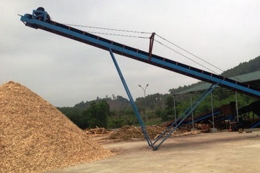 Thanh Hóa: Loạn các cơ sở chế biến dăm gỗ không phép