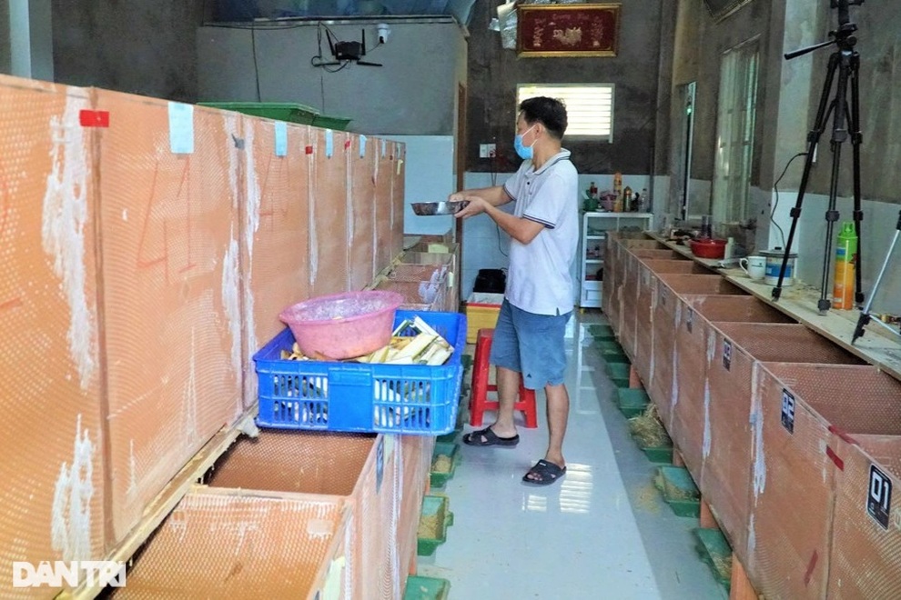Anh nông dân tiết lộ bí quyết nuôi con ăn ngày ngủ đêm cho thu nhập cao - 3 Anh nông dân tiết lộ bí quyết nuôi con ăn ngày ngủ đêm cho thu nhập cao - 3