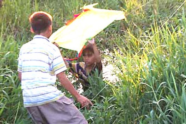 Nghề “cứu hộ” diều