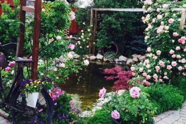 “Thiên đường hoa” vạn người mê của nữ Việt kiều