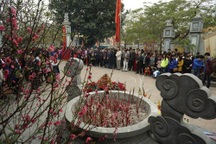 Nhân lên nét đẹp phong tục khai bút đầu xuân