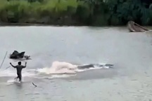 Cụ ông 80 tuổi đi tắm sông bị cá sấu tấn công, lôi trên mặt nước