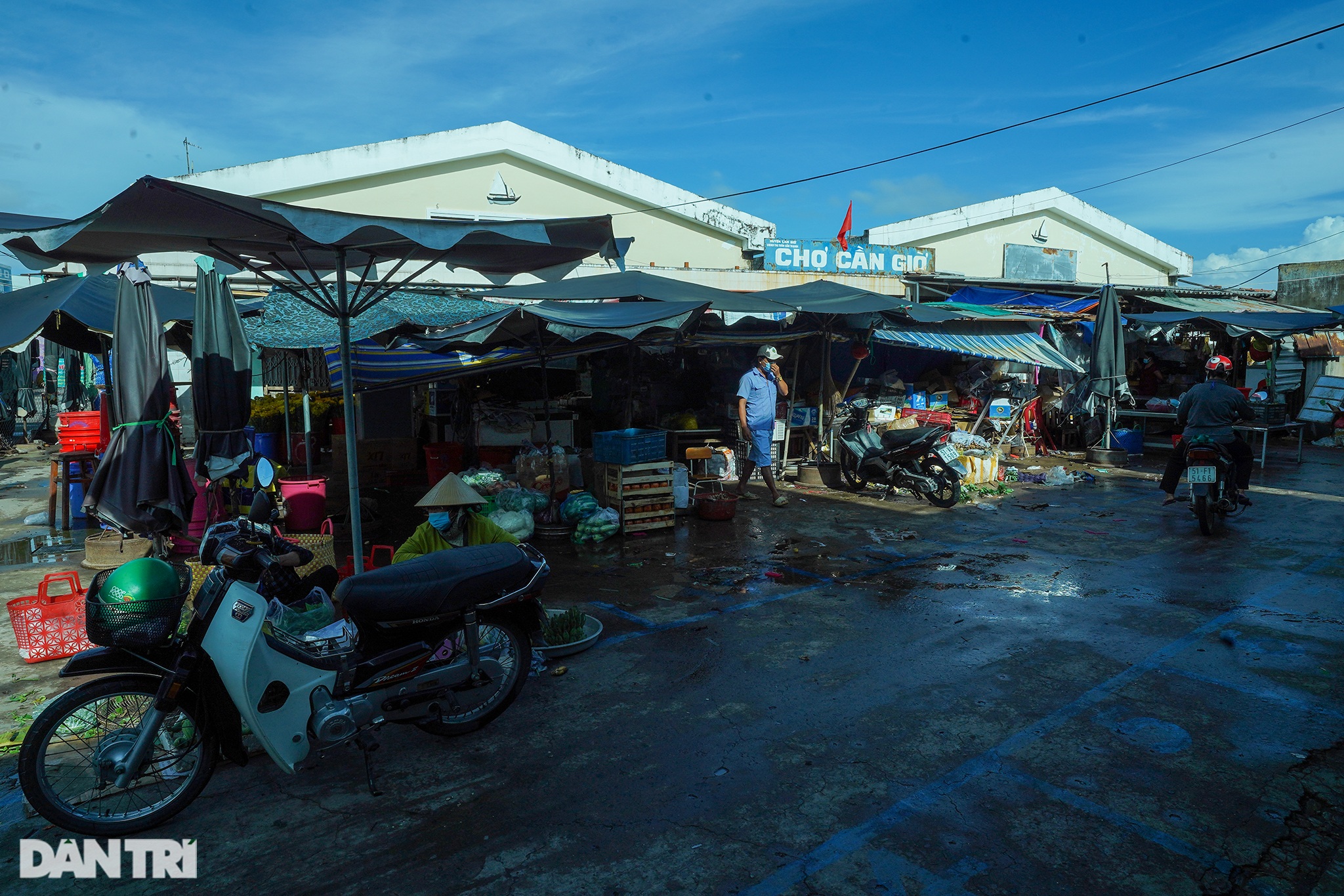 Tiểu thương Cần Giờ ra chợ bằng thẻ xanh Covid-19 - 1 Tiểu thương Cần Giờ ra chợ bằng thẻ xanh Covid-19 - 1