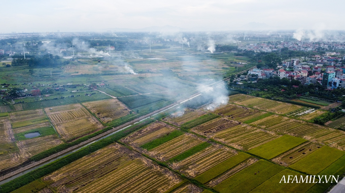 Ảnh: Khói rơm rạ mịt mù bao phủ cửa ngõ Thủ đô - Ảnh 9.