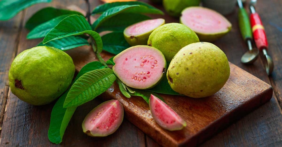 Những lợi ích sức khỏe đáng kinh ngạc của lá ổi - 1 Những lợi ích sức khỏe đáng kinh ngạc của lá ổi - 1