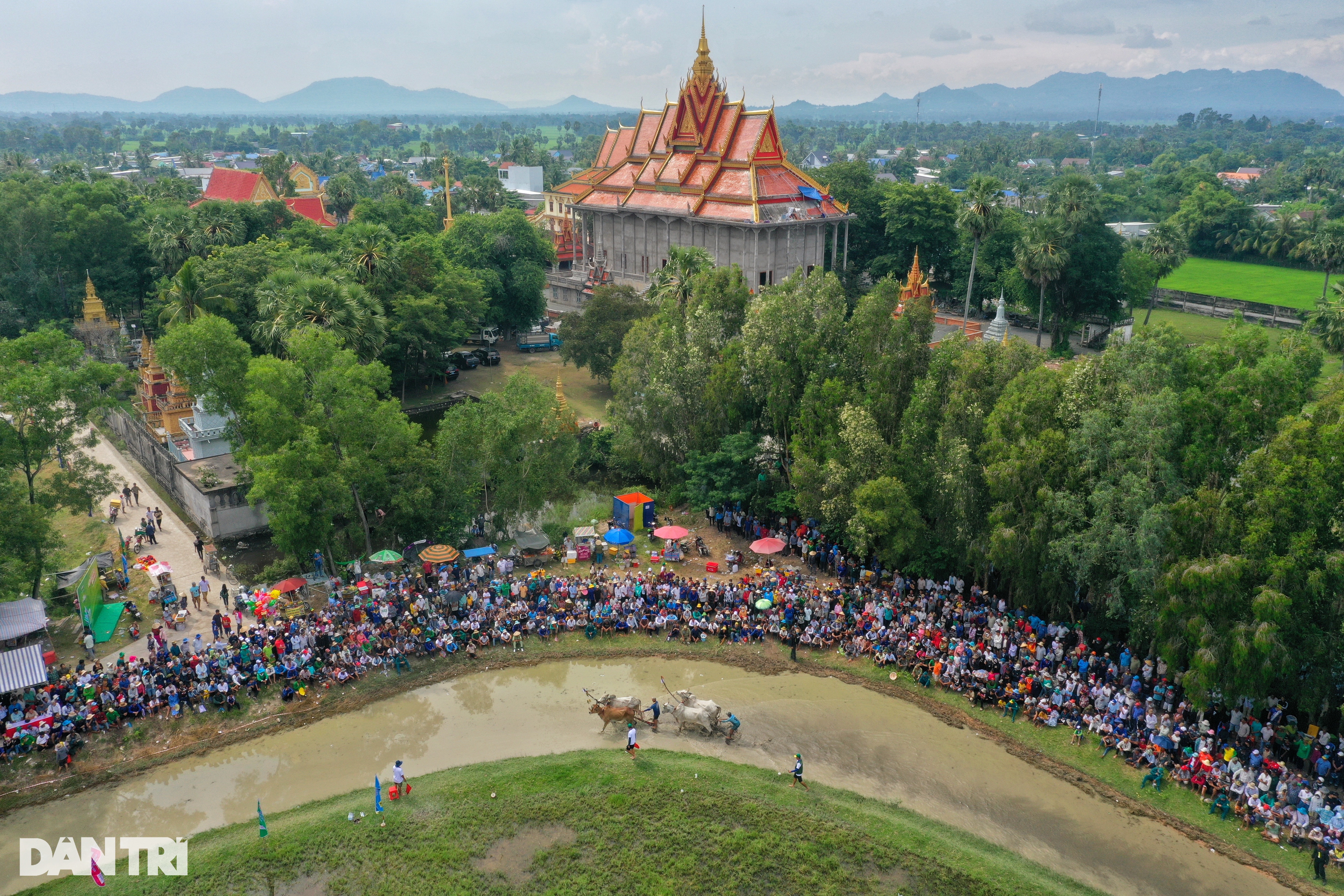 View - Những khoảnh khắc ấn tượng tại Hội đua bò Bảy Núi 2024 | Báo Dân trí