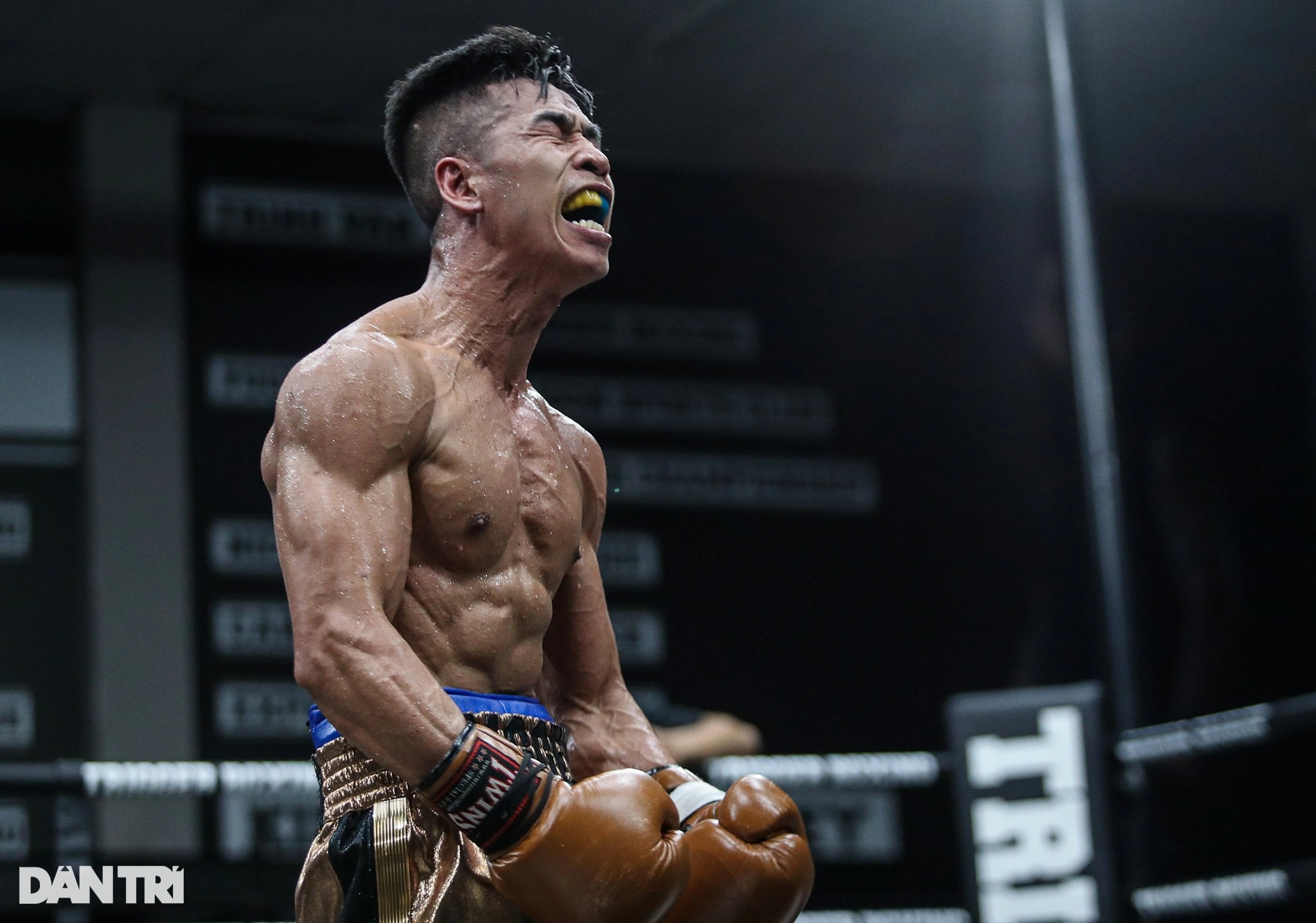 Nhà vô địch WBC châu Á Trần Văn Thảo hạ knock-out tay đấm Thái Lan - 14 Nhà vô địch WBC châu Á Trần Văn Thảo hạ knock-out tay đấm Thái Lan - 14