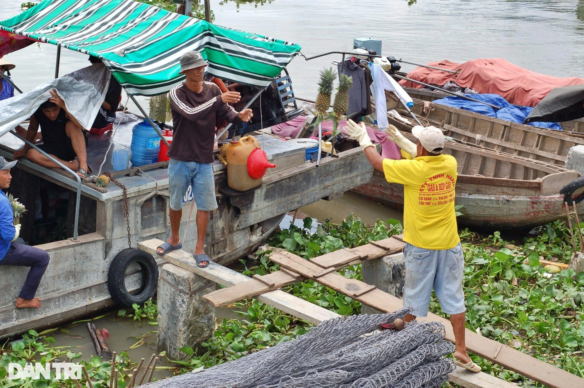 Comerciantes abandonam mercados flutuantes, carregadores desempregados lutam para sobreviver - 14 Thương hồ bỏ chợ nổi, cửu vạn thất nghiệp nháo nhác mưu sinh - 14