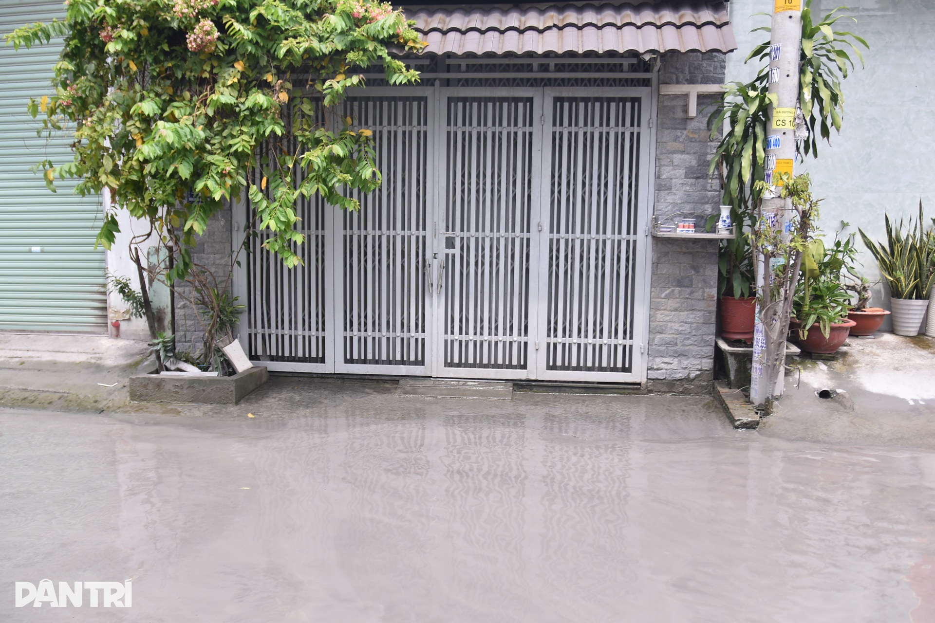Người dân than trời vì con đường ngập nửa năm nước chưa rút ở TPHCM - 9 Người dân than trời vì con đường ngập nửa năm nước chưa rút ở TPHCM - 9