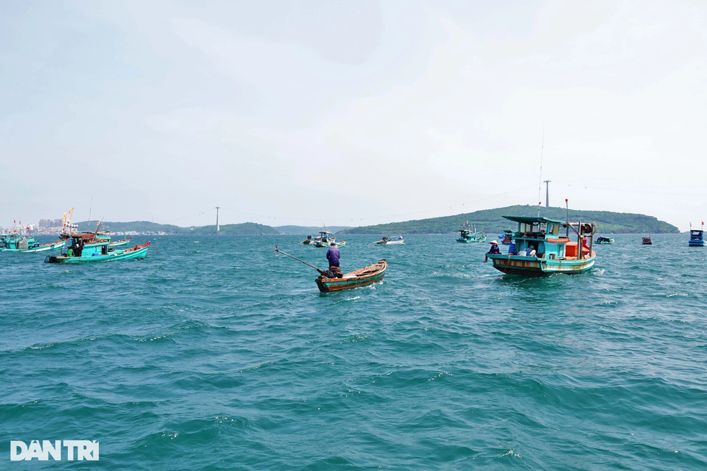 Bí quyết săn mực độc, lạ, câu con nào dính con đó của ngư dân Phú Quốc - 1 Bí quyết săn mực độc, lạ, câu con nào dính con đó của ngư dân Phú Quốc - 1